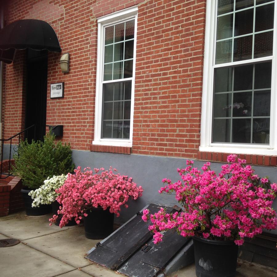 Bed and Breakfast Blancnoir Baltimore Zewnętrze zdjęcie